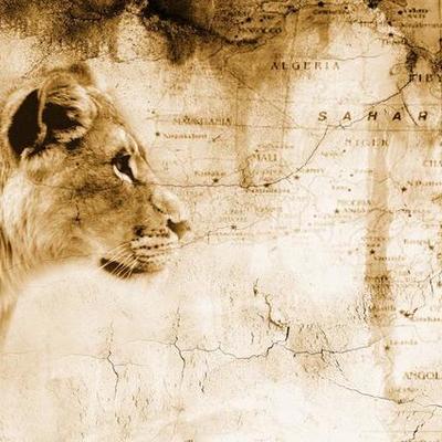 Timeline: África en la historia