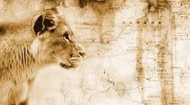 Timeline: África en la historia