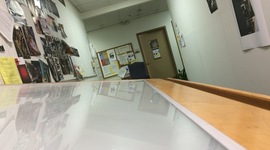 Timeline: Plant Fiasco