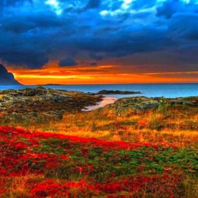 Timeline: Лента времени