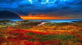 Timeline: Лента времени