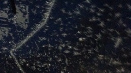 Timeline: Cuban Missile Crisis