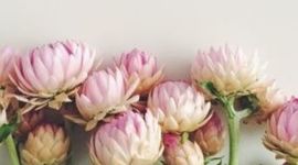 Timeline: Mi linea de tiempo. Brenda Sarahi