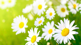 Timeline: Olivia's Cold War Timeline & PostWar