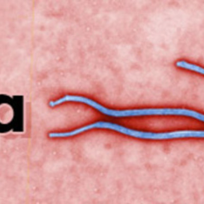 Timeline: Rachel-Ebola