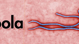 Timeline: Rachel-Ebola