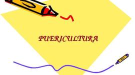 Timeline: Análise Crítica da Puericultura no Brasil