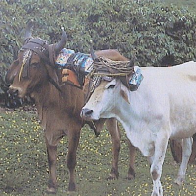 Timeline: Antecedentes del desarrollo turístico en Costa Rica Primera Etapa (1821-1895)