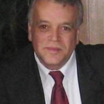 Timeline: Doctorado y Profesión