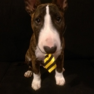 Timeline: my life so far