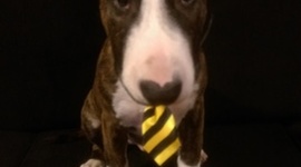 Timeline: my life so far