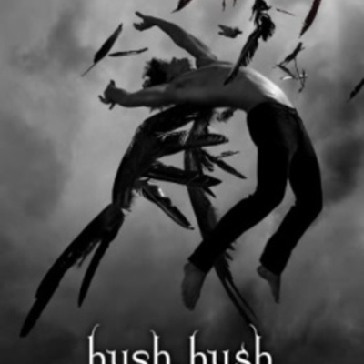Timeline: Hush, Hush