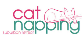 Timeline: Work Placement