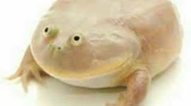 Timeline: European Theater Timeline