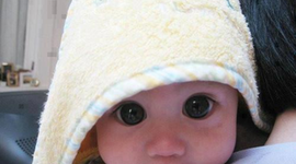 Timeline: Lifespan of Shane