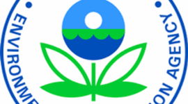 Timeline: Cat Vergara -- Timeline project