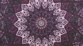 Timeline: UNIT 4 TIMELINE