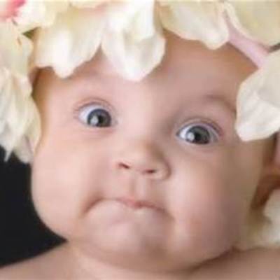 Timeline: The Life In A Pregnancy