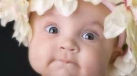 Timeline: The Life In A Pregnancy