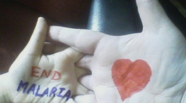 Timeline: Cece Nikodem-Malaria