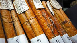 Timeline: Historia Gestión Documental