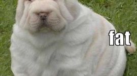 Timeline: Chasing Lincoln's Killer Timeline