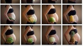 Timeline: Fetal Development