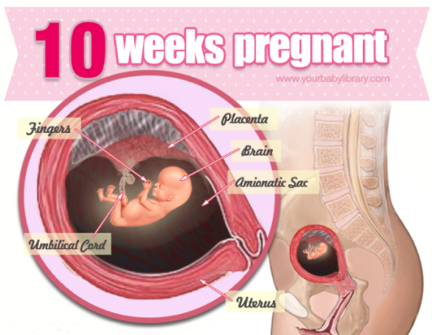 Pregnancy All-in-One For Dummies