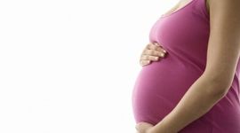 Timeline: Fetal Development Timeline