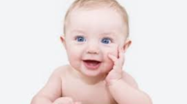 Timeline: Fetal Development