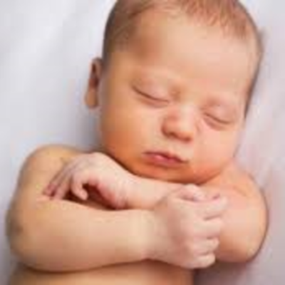 Timeline: Fetal Development