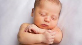 Timeline: Fetal Development