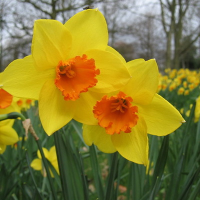 Timeline: School 2010