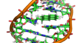 Timeline: Principales descubrimientos del DNA