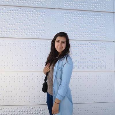 Timeline: Plan de vida y carrera