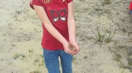 Timeline: Delaney Akridge