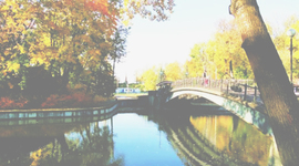 Timeline: История Лопатинского сада