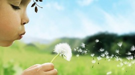 Timeline: Mi linea de tiempo