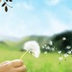 1600x900 child girl blowing dandelion taraxacum flower