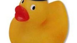 Timeline: My Personal Odyssey