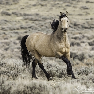 Timeline: Industrial Revolution