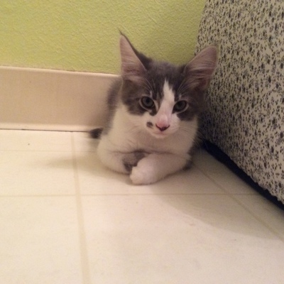 Timeline: Luna joined us