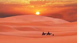 Timeline: FORMATOS COMERCIALES