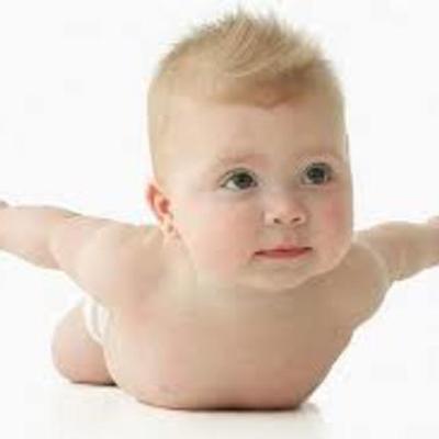 Timeline: Fetal Development Timeline