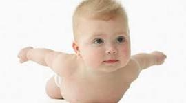 Timeline: Fetal Development Timeline