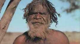 Timeline: indigenous rights milestones