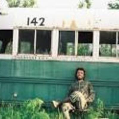 Timeline: Into the Wild