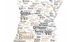 Timeline: Saving Zasha