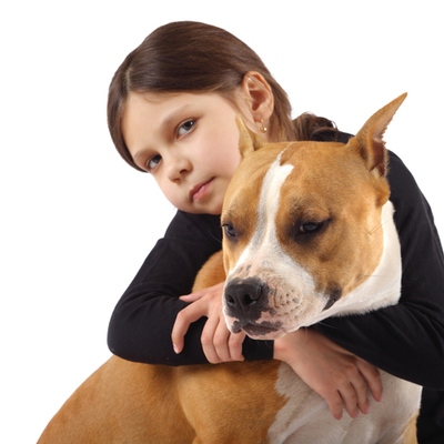 Timeline: PERROS PITBULL