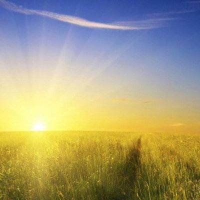 Timeline: THE GMO FUTURE